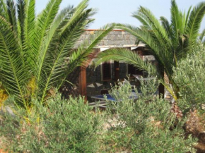 casa delle palme Ustica